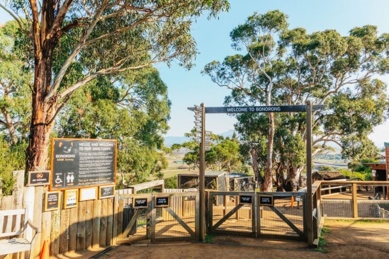 Hobart: Mt Wellington, Mt Field, Bonorong and Richmond Trip - Final Thoughts