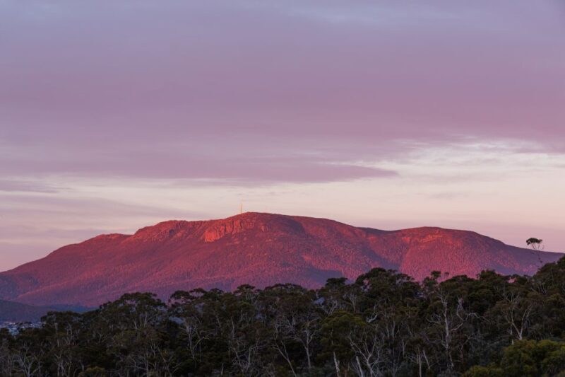 Hobart: nipaluna Half-Day Highlights Tour - Final Thoughts