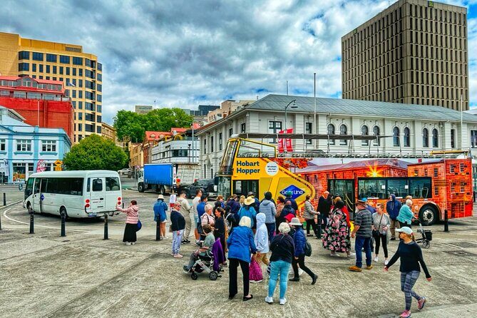 Hobart Shore Excursion-Open Top City Explorer Tour 11.15am - Who Would Love This Tour?