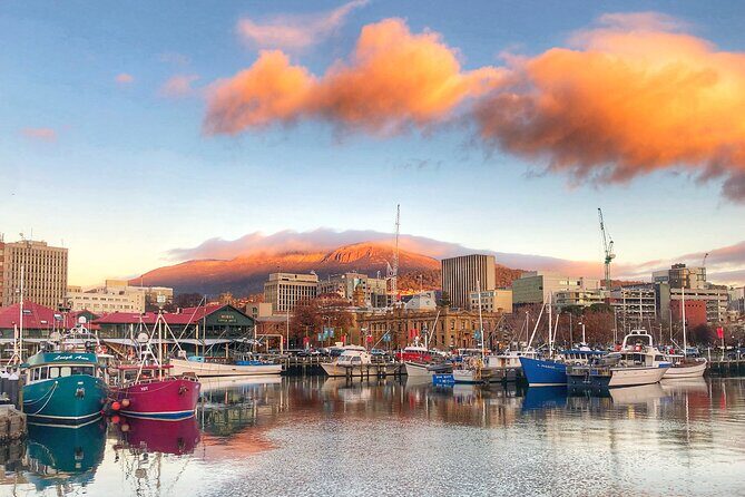 Hobart Shore Excursion-Open Top City Explorer Tour 11.15am - FAQ