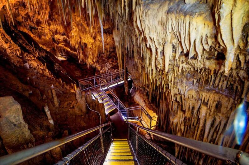 Hobart: Tahune Airwalk, Hastings Cave, Thermal Springs Tour - Key Points