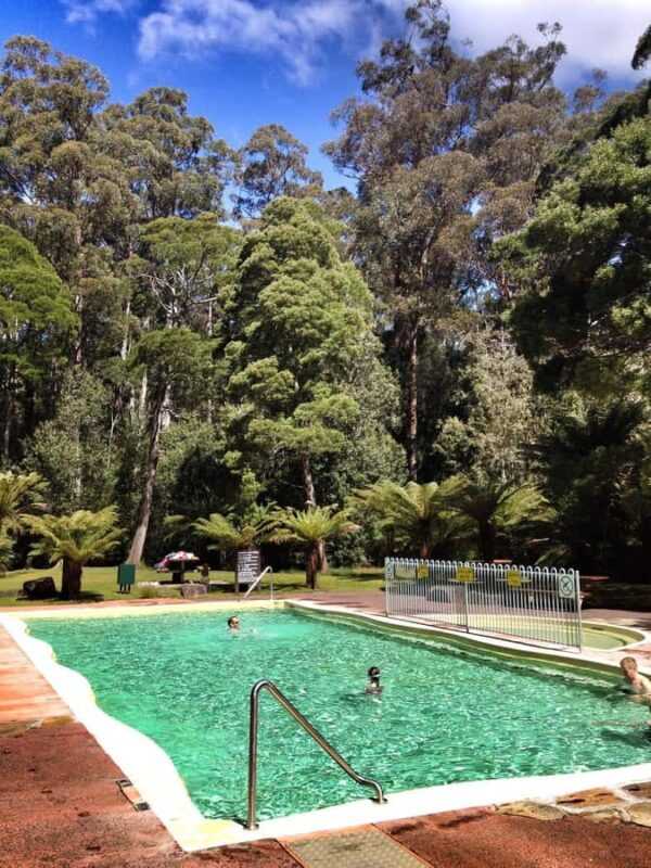 Hobart: Tahune Airwalk, Hastings Cave, Thermal Springs Tour - The Full Experience: What to Expect