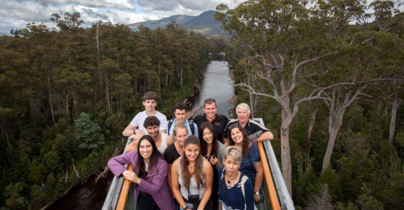Hobart: Tahune Airwalk & Hastings Caves - Active Day Tour - A Complete Guide to the Hobart: Tahune Airwalk & Hastings Caves Tour