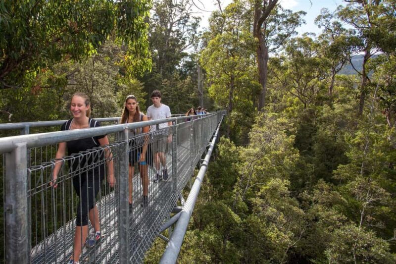 Hobart: Tahune Airwalk & Hastings Caves - Active Day Tour - Final Thoughts