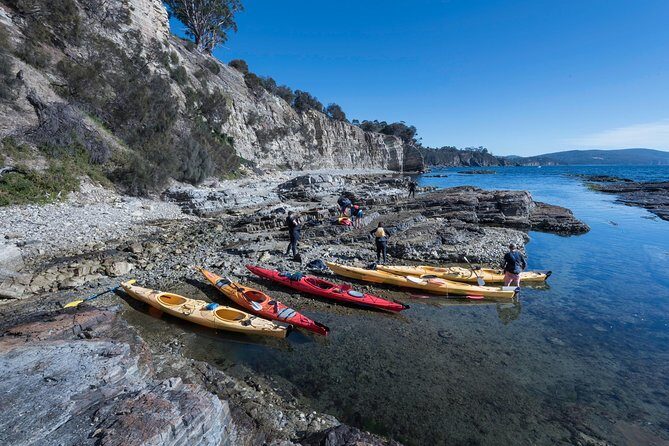 Hobart's Cliffs, Caves and Beaches Kayak Tour - Price and Value Analysis