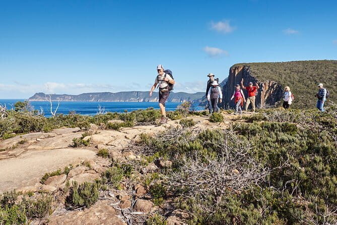 Hobart's Cliffs, Caves and Beaches Kayak Tour - Practical Tips for Your Kayaking Adventure