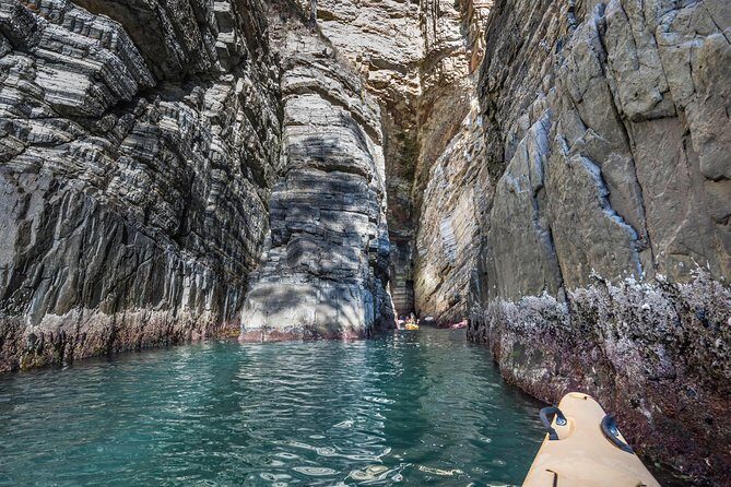 Hobart's Cliffs, Caves and Beaches Kayak Tour - Frequently Asked Questions
