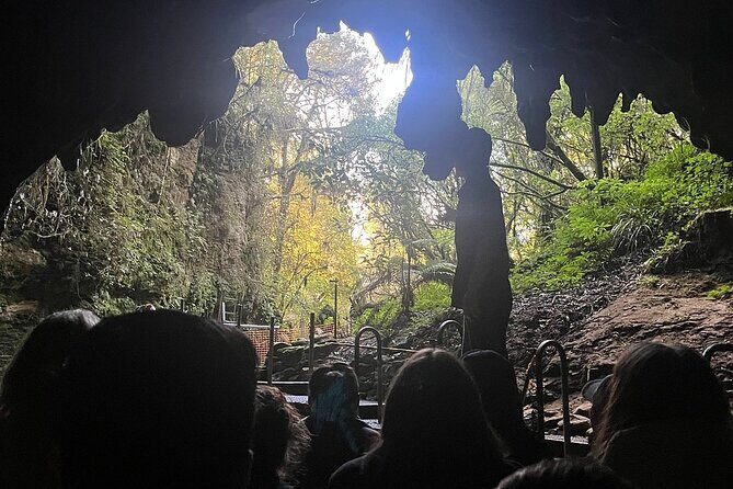 Hobbiton Movie Set and Waitomo Glow Worm Caves Tours Private SUV - Who Would Love This Tour?