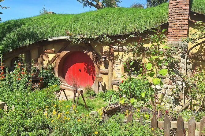 Hobbiton Small group Tour from Tauranga Port - The Sum Up