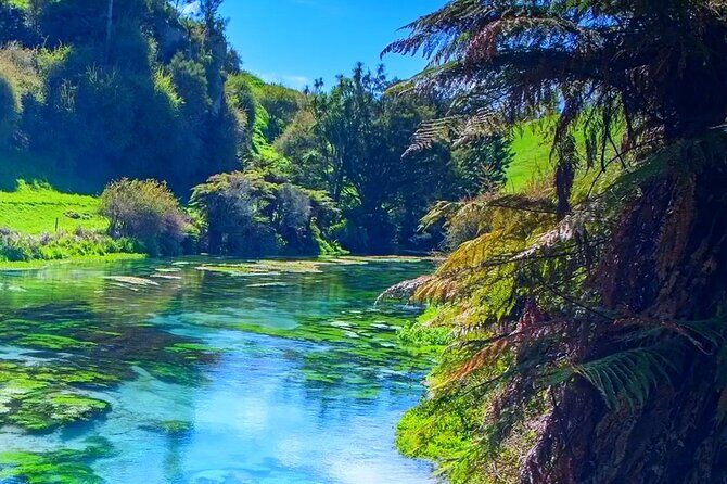 Hobbiton, Waitomo Caves, Blue Spring & Hamilton Garden Day trip - FAQ