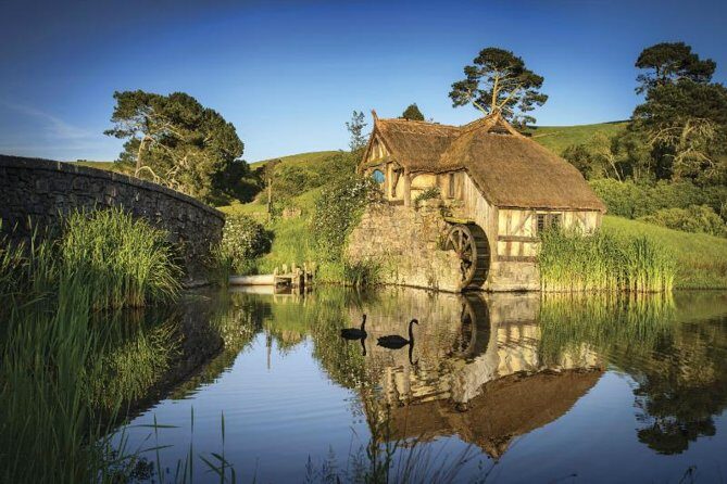 Hobbiton & Waitomo Caves Guided Day Trip from Auckland incl lunch - Additional Practical Details