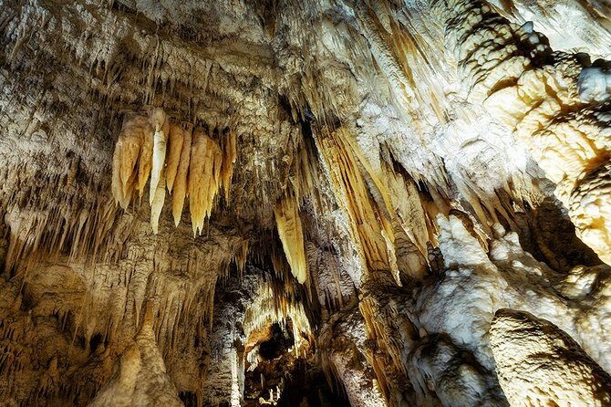 Hobbiton & Waitomo Caves Small Group Tour from Auckland inc Lunch - Wrapping Up