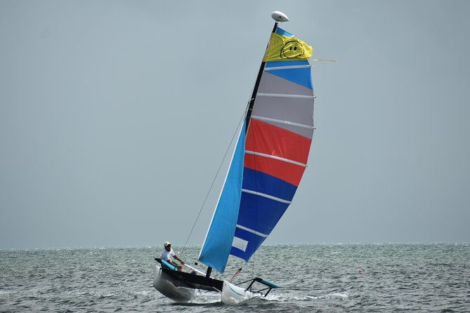 hobie-cat-sailing-with-miami-watersports