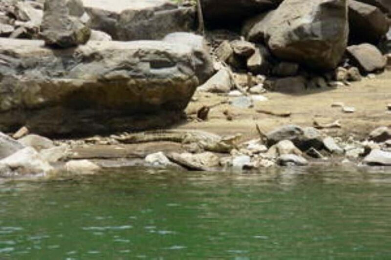 Hoedspruit: Blyde River Canyon Dam Boat Cruise - Key Points