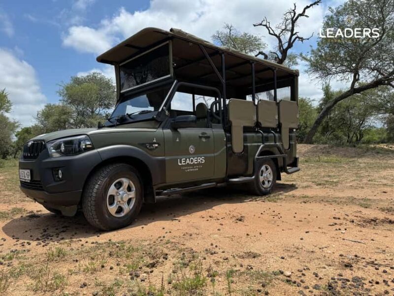 Hoedspruit: Private Kruger National Park Full-Day Safari - Introduction