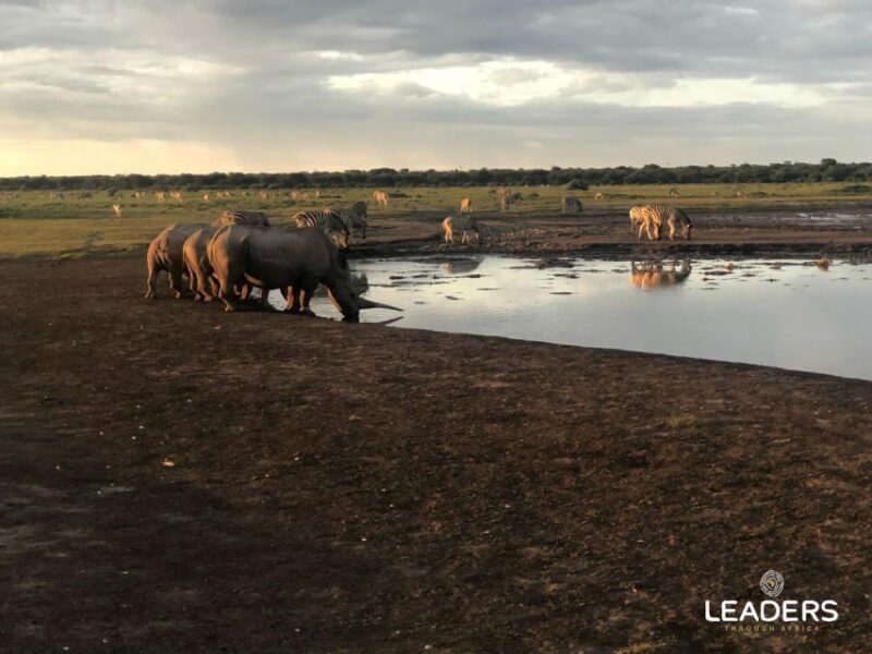 Hoedspruit: Private Kruger National Park Full-Day Safari - Key Points