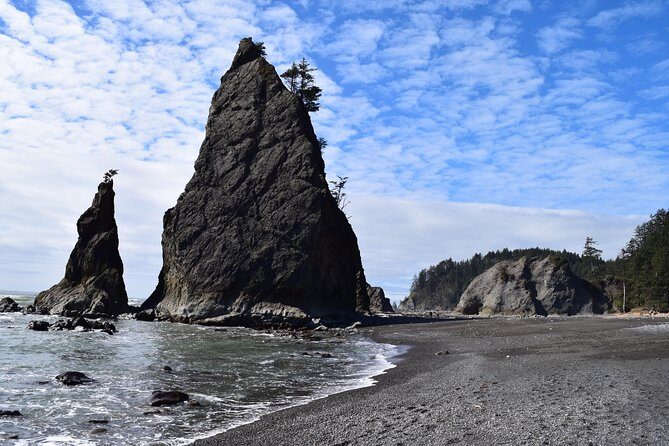 Hoh Rain Forest and Rialto Beach Guided Tour in Olympic National Park - Why We Think This Tour is Worth It