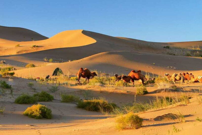 hohhot-6-day-private-tour-to-huitengxile-and-kubuqi-desert