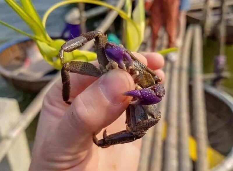 hoi-an-bamboo-basket-boat-tour-with-transportation