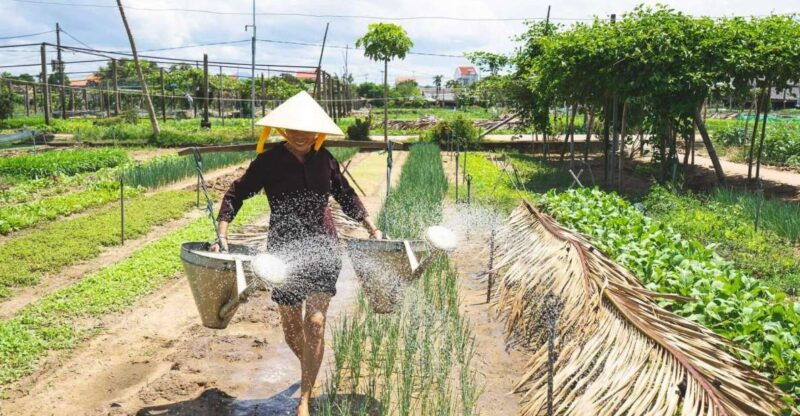 hoi-an-basket-boat-farming-and-cooking-class-in-tra-que