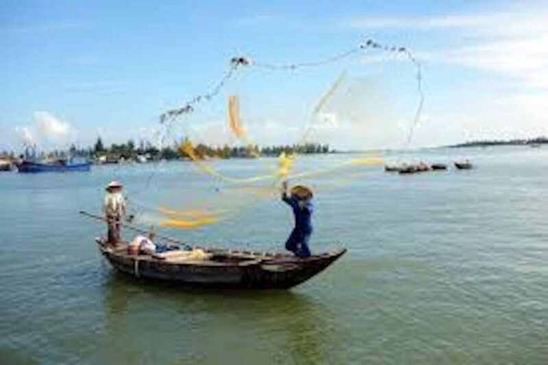 Hoi An: Basket Boat Ride in the Coconut Forest - The Experience Provider: Hiep Travel