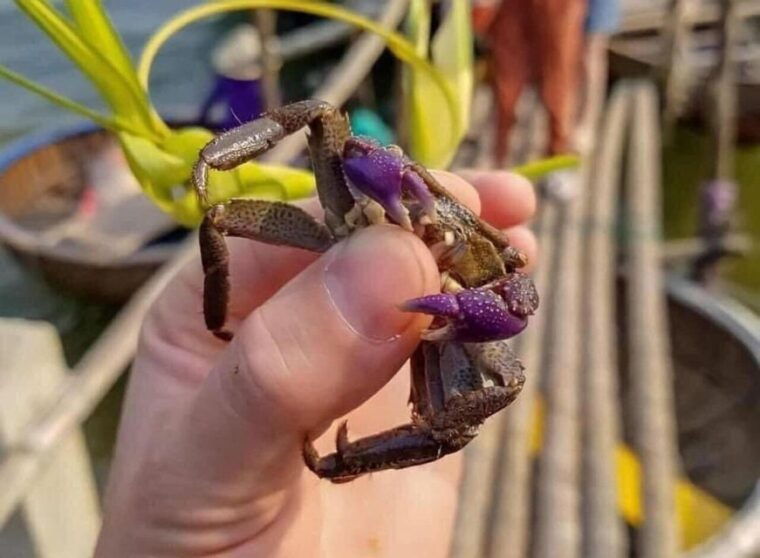 hoi-an-cam-thanh-basket-boat-riding-w-two-way-transfers