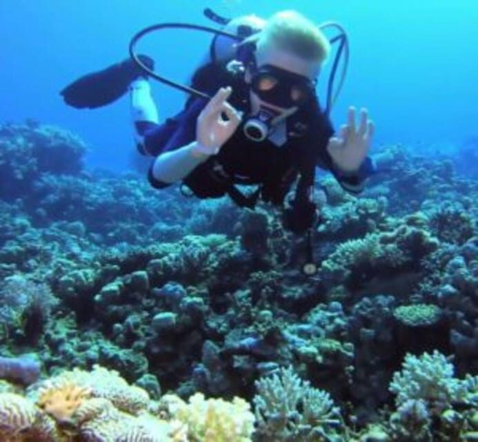 Hoi An: Cham Island Discover Scuba Dive for Beginner 1-Day - Why This Tour Offers Great Value