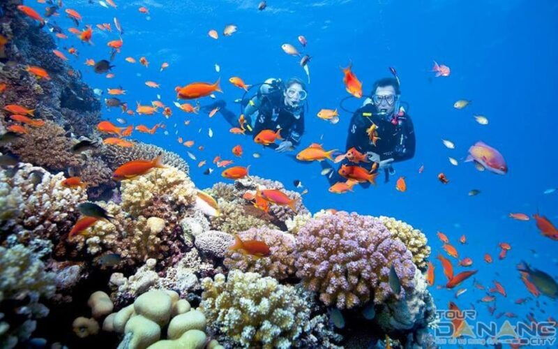 hoi-an-cham-island-snorkeling-and-sightseeing-tour