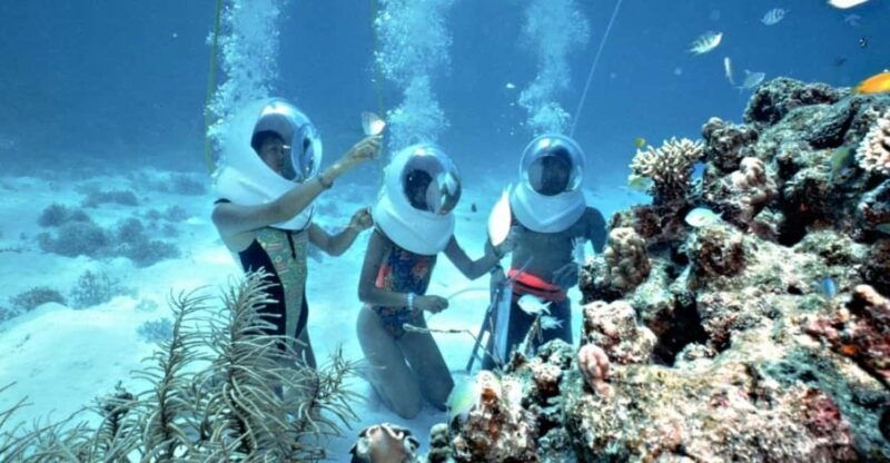 hoi-an-cham-island-snorkeling-or-underwater-walking-tour