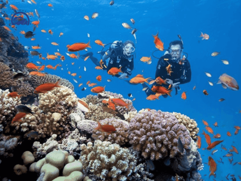 hoi-an-cham-island-snorkeling-or-underwater-walking-tour