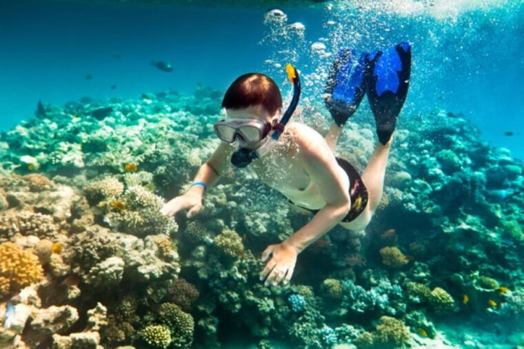 hoi-an-cham-island-snorkeling-or-underwater-walking-tour