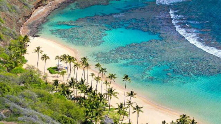 hoi-an-cham-island-speedboat-day-trip