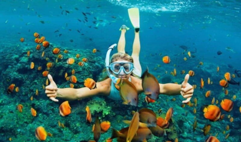 hoi-an-cham-islands-snorkeling-trip-by-speedboat-with-lunch-3