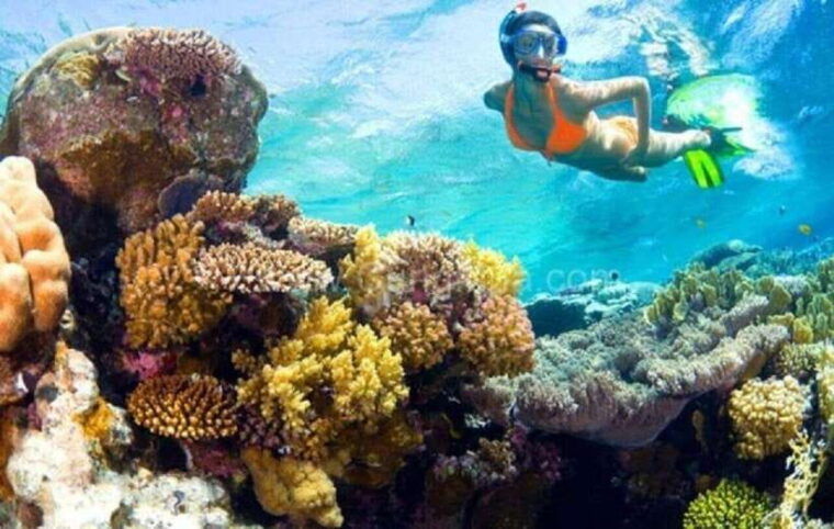 hoi-an-cham-islands-snorkeling-trip-by-speedboat-with-lunch-3