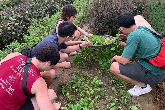 Hoi An Cooking Class at Tra Que Vegetable Village - Engaging with Tra Que’s Agricultural Roots
