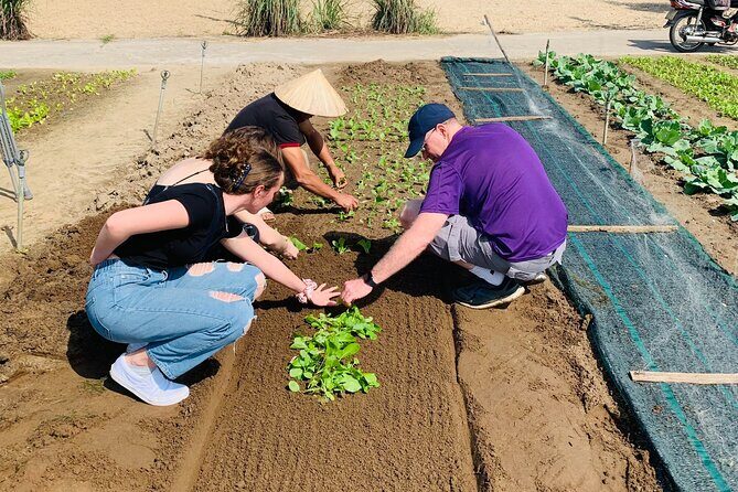 Hoi An Cooking Class at Tra Que Vegetable Village - Weather and Cancellation Flexibility