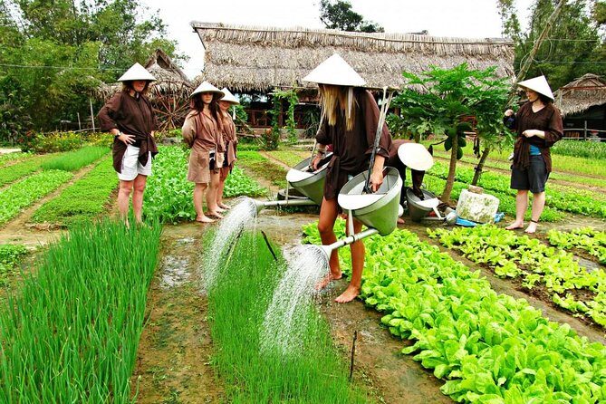Hoi An Countrylife Tour Experience & Vietnamese Set Menu - Who Will Love This Tour?