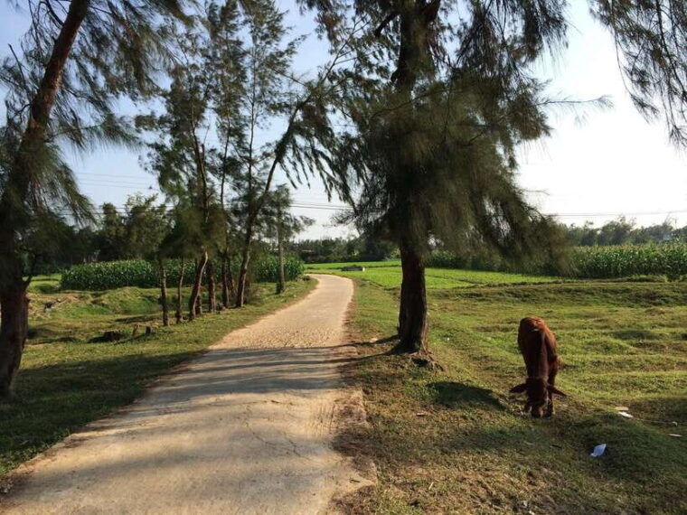 hoi-an-countryside-bike-tour-to-kim-bong-village