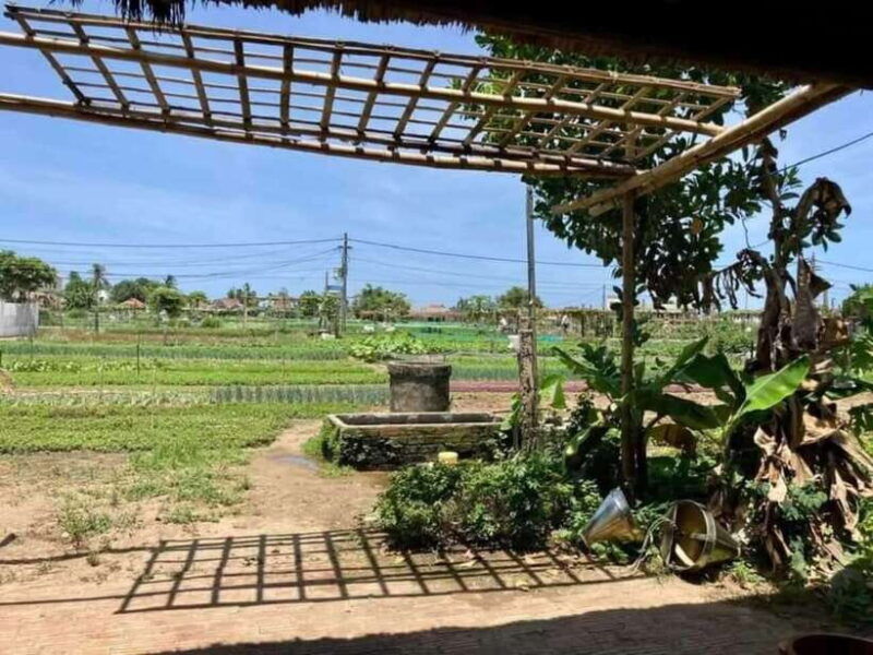 hoi-an-countryside-biking-cooking-class-in-tra-que-village