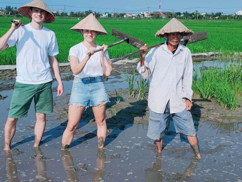 Hoi An: Countryside Half-Day Guided Bike Tour - Who Will Love This Experience?