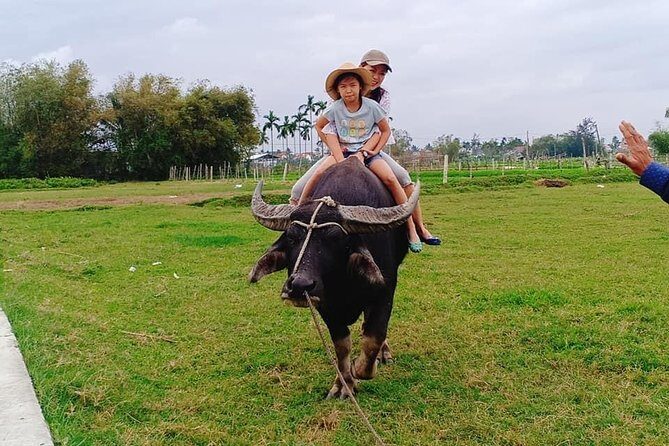 Hoi An Countryside Tour with 3 Local Villages by Army Jeep or Private Car - Who Will Love This Tour?