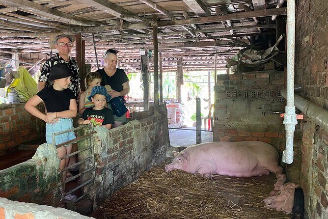 Hoi An Countryside, Village Life & Tasty Local Lunch - Exploring Hoi An Countryside, Village Life & Tasty Local Lunch: A Genuine Day Out