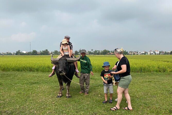 Hoi An Countryside, Village Life & Tasty Local Lunch - Key Points
