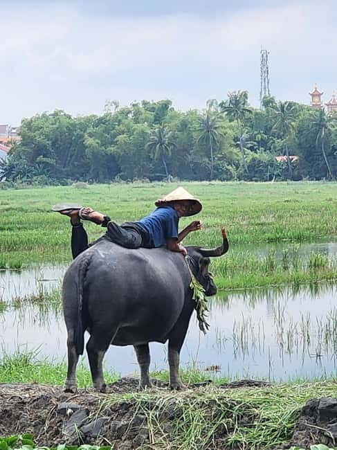 Hoi An: Countryside Villages and River Islands Private Tour - Hoi An: Countryside Villages and River Islands Private Tour