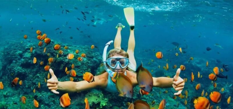 Hoi An/Da Nang: Cham Islands Snorkeling by Speedboat w Lunch - The Itinerary in Detail