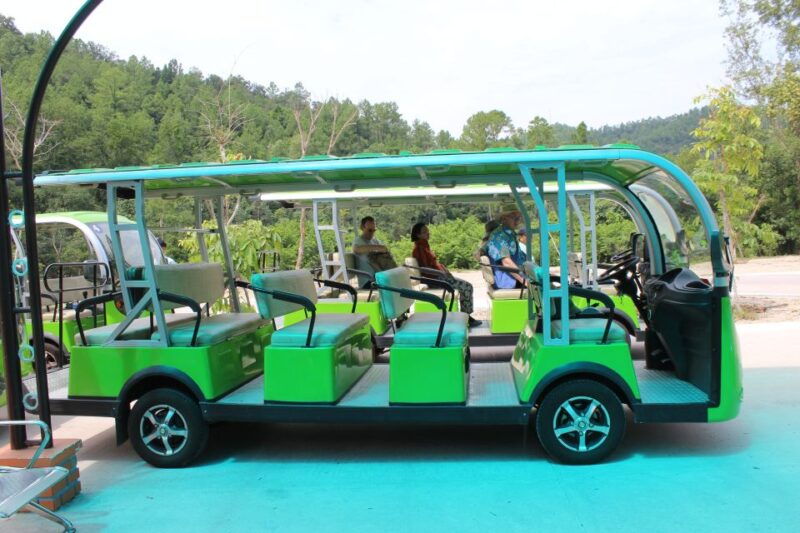 hoi-an-da-nang-my-son-afternoon-tour-banh-my-and-cruise