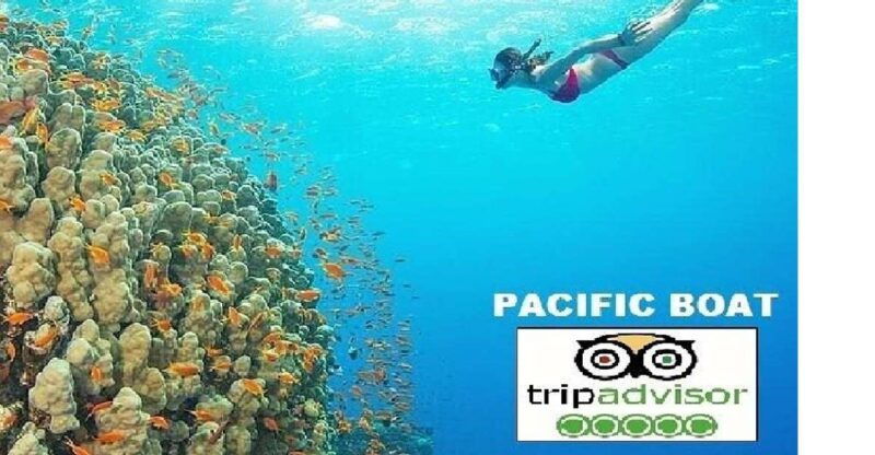 hoi-an-da-nang-snorkeling-and-island-hopping-speedboat-tour