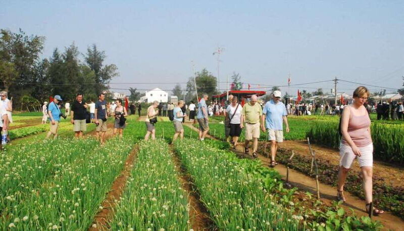 hoi-an-eco-tour-bike-farm-and-lantern-making-experience