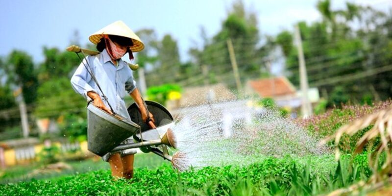 Hoi An: Evening Cooking Class with Locals in Herbs Village - A Detailed Look at the Experience