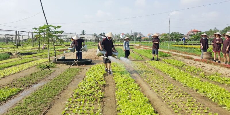 Hoi An: Evening Cooking Class with Locals in Herbs Village - Final Thoughts